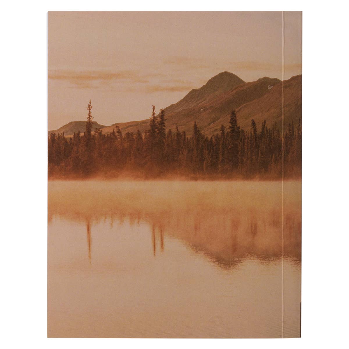 One-Minute Devotions Power of Prayer Softcover