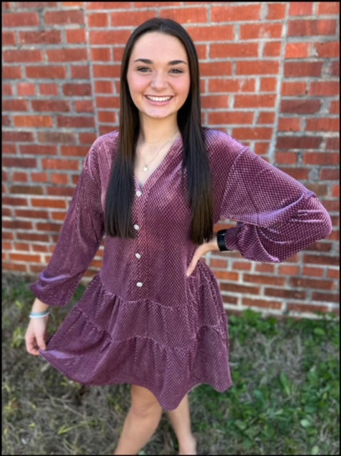 Velvet Mini Dress: MAUVE