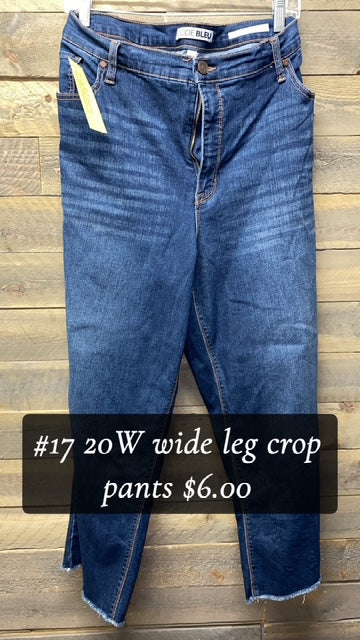 #17 20W WIDE LEG CROP PANTS