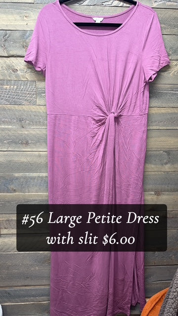 #56 LARGE PURPLE PETITE DRESS