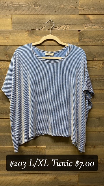#203 L/XL Blue Stripped Tunic