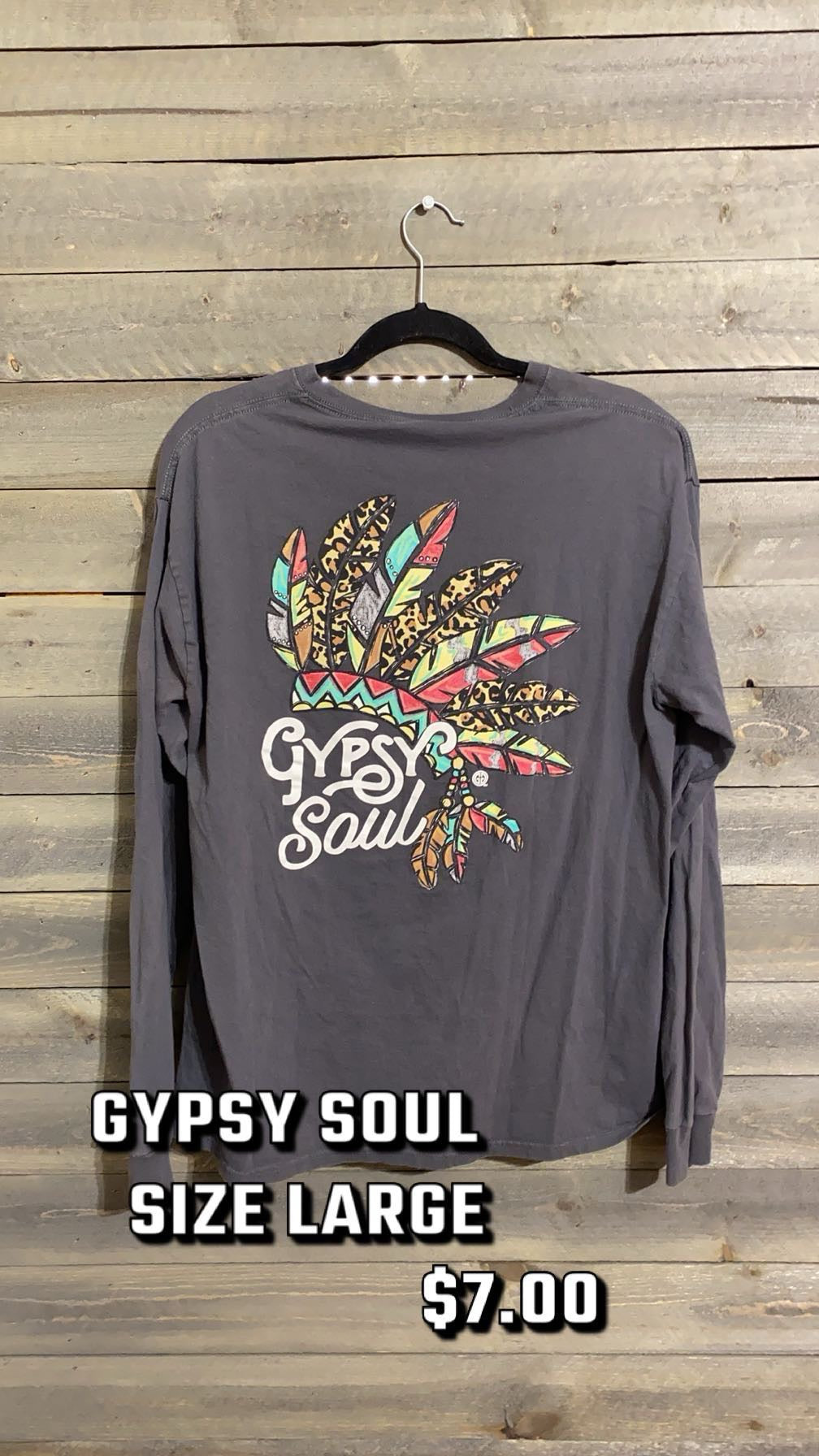 #91 GYPSY SOUL LG 1/24