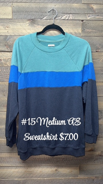 #15 Medium AE Sweater