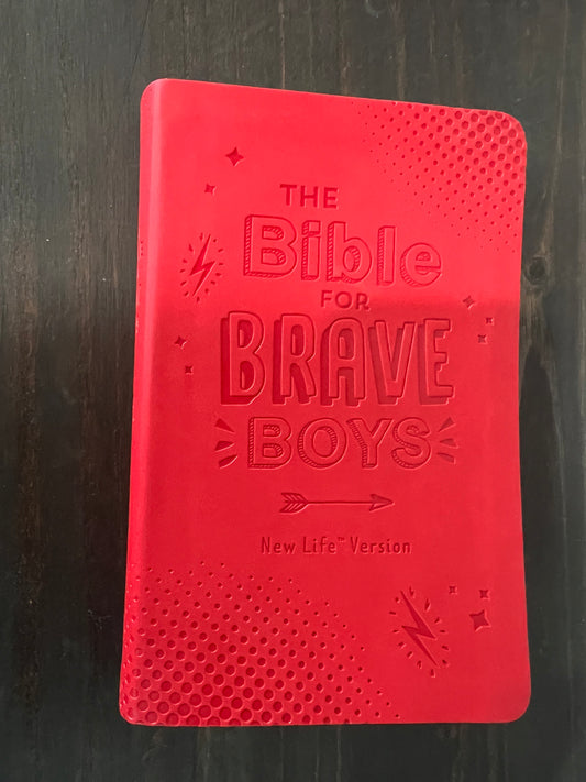 The Bible For Brave Boy